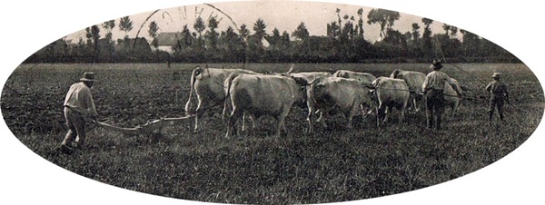 Lab