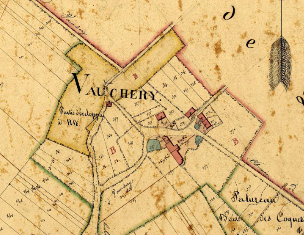 Vauchery